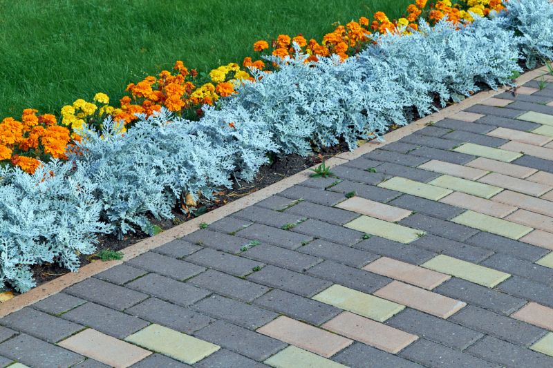 Paved Driveway Repair detail